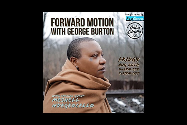 Forward Motion: Meshell Ndegeocello